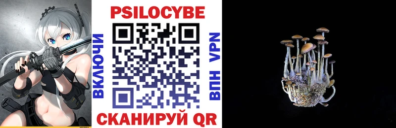 Псилоцибиновые грибы Psilocybe  Геленджик 
