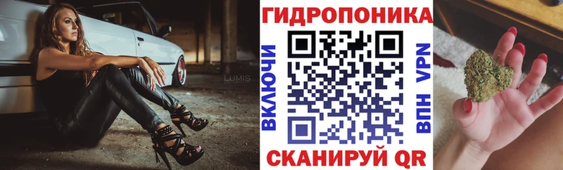 Канабис гибрид  где купить   Геленджик 